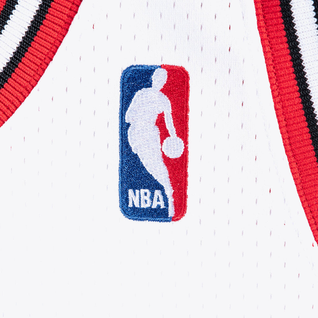 Michael Jordan Chicago Bulls 1995-96 Authentic Jersey