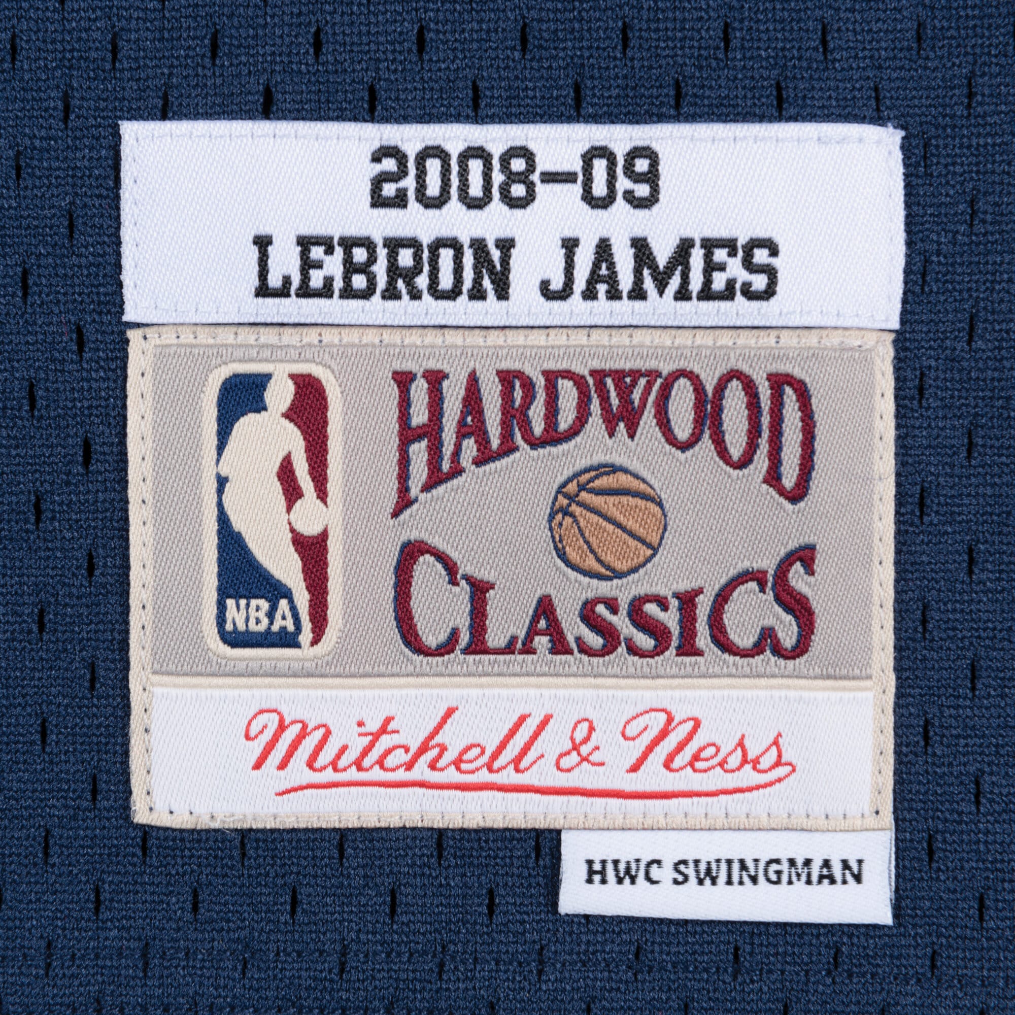 LeBron James Cleveland Cavaliers 2008-09 Swingman Alternate Jersey