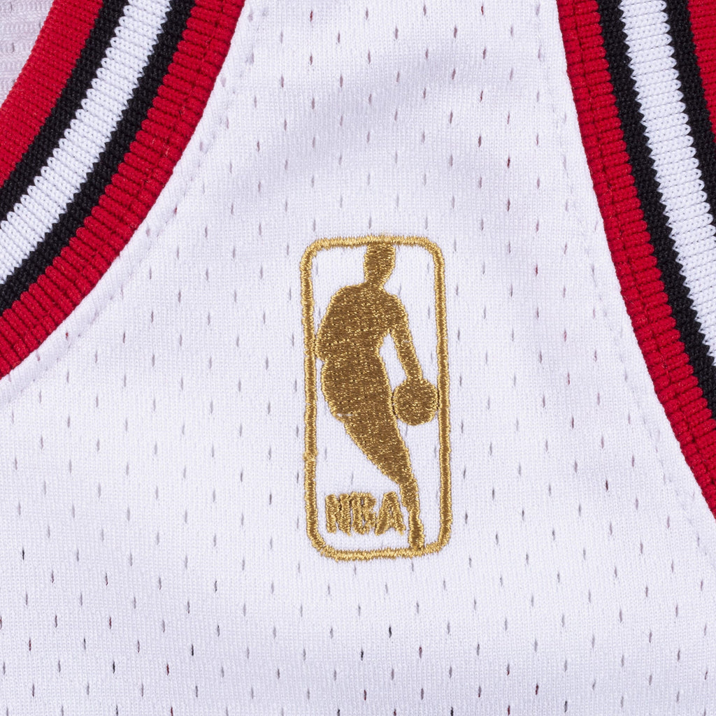 Michael Jordan Chicago Bulls 1997-98 Authentic Jersey