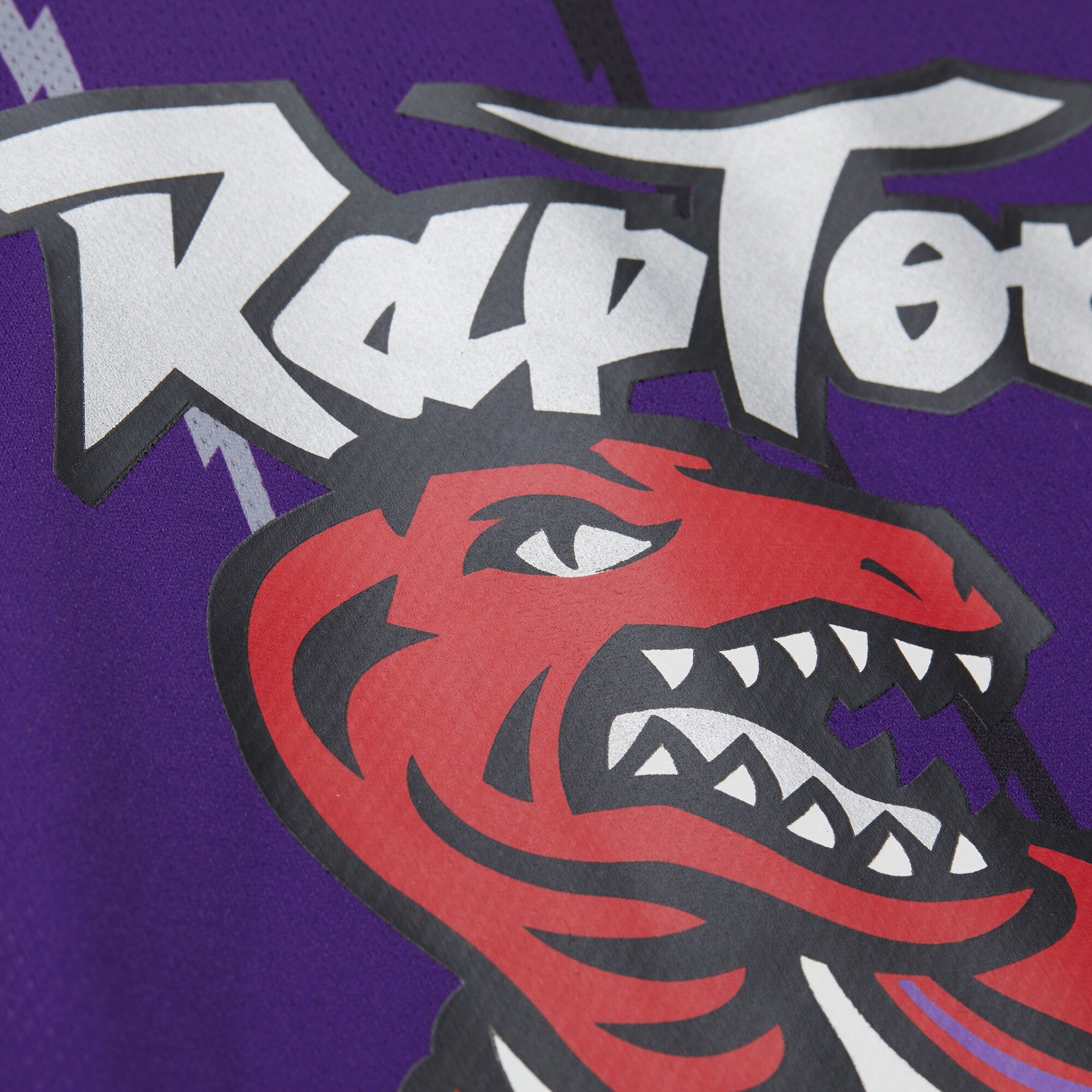 Toronto Raptors Jersey - Unisex
