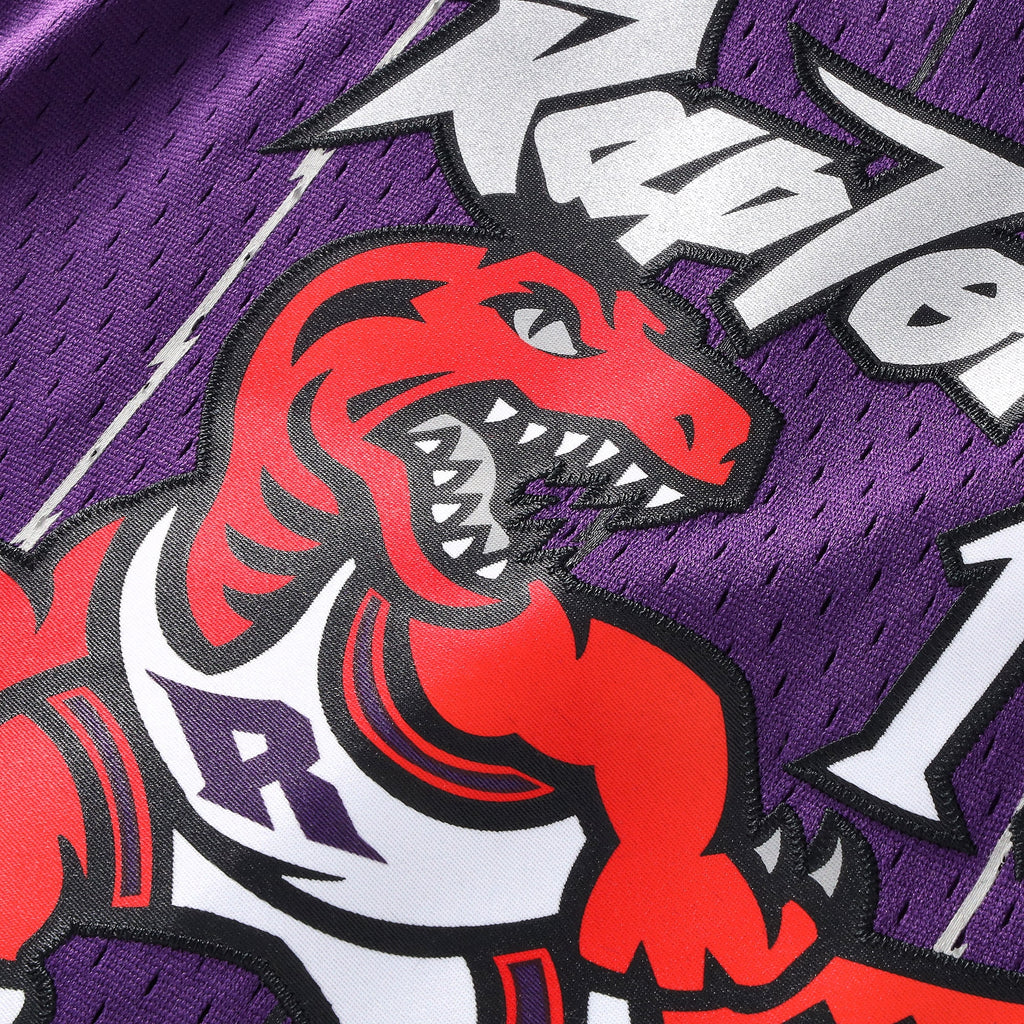 Vince Carter Toronto Raptors Swingman Jersey - Youth