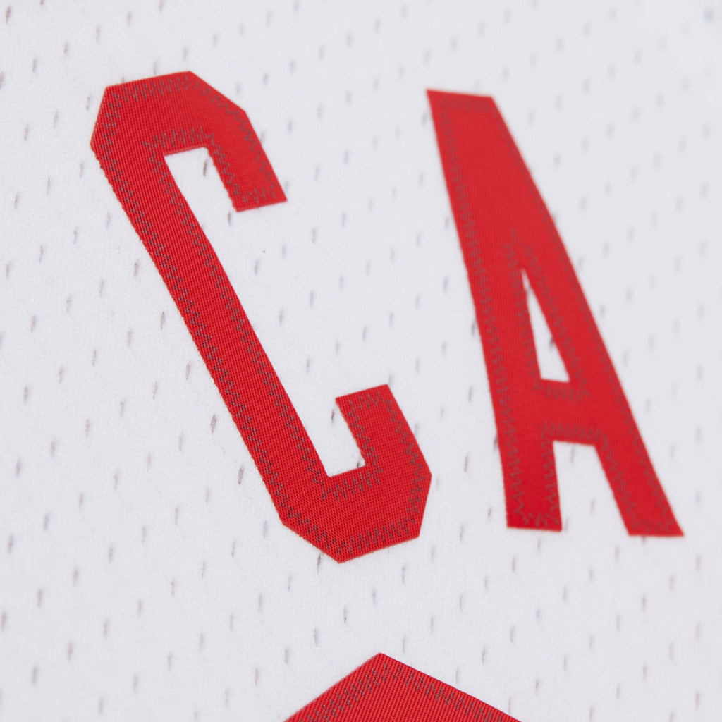 Vince Carter New Jersey Nets Swingman Jersey - Mens
