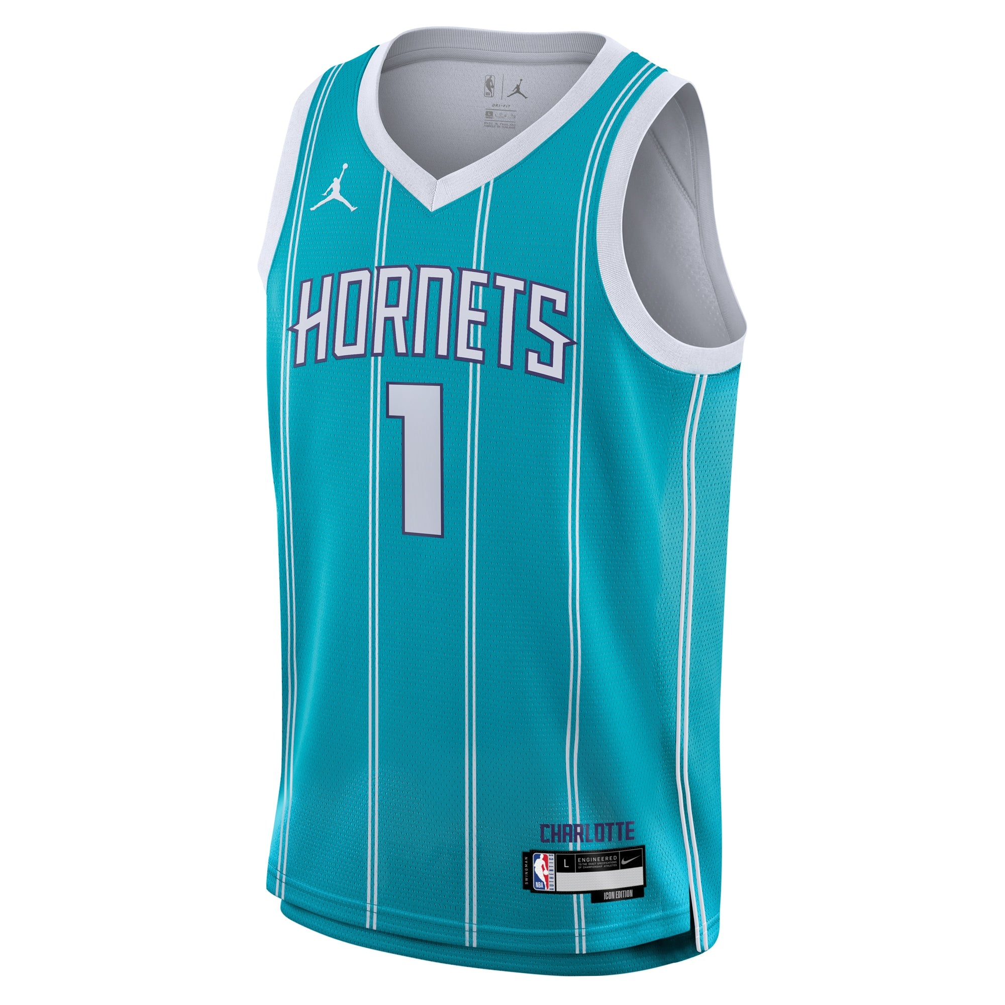 LaMelo Ball Charlotte Hornets Swingman Icon Jersey - Youth