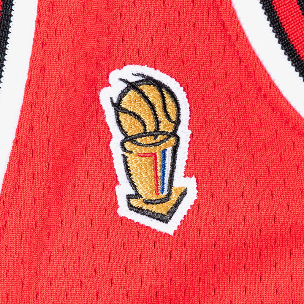 Michael Jordan Chicago Bulls 1995-96 Finals Authentic Road Jersey