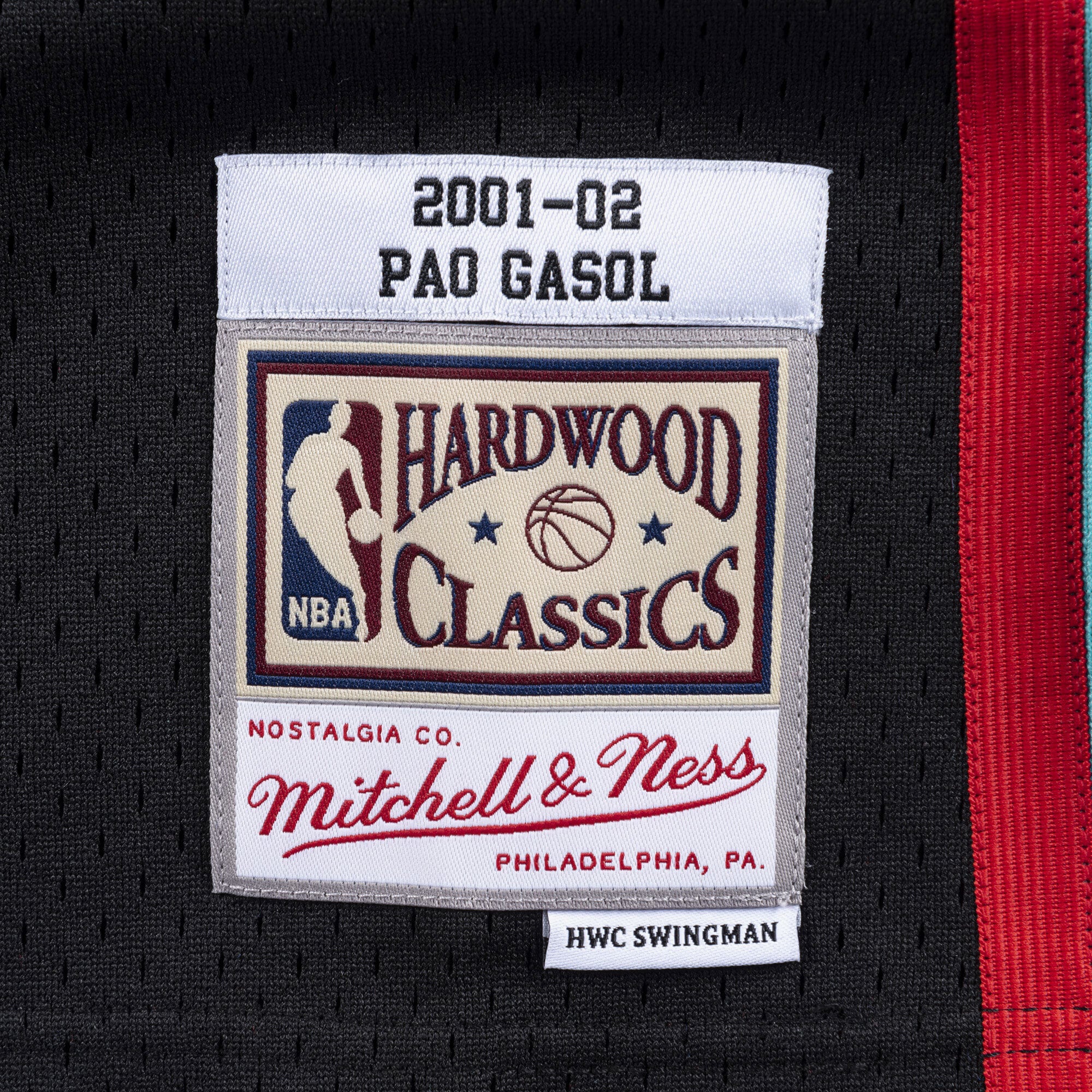 Pau Gasol Memphis Grizzlies 2001-02 Swingman Jersey