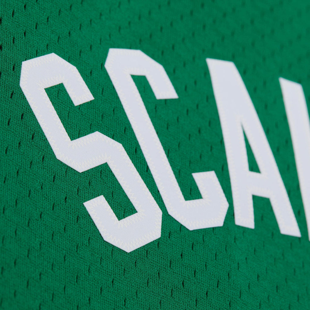 Brian Scalabrine Boston Celtics Swingman Jersey - Mens