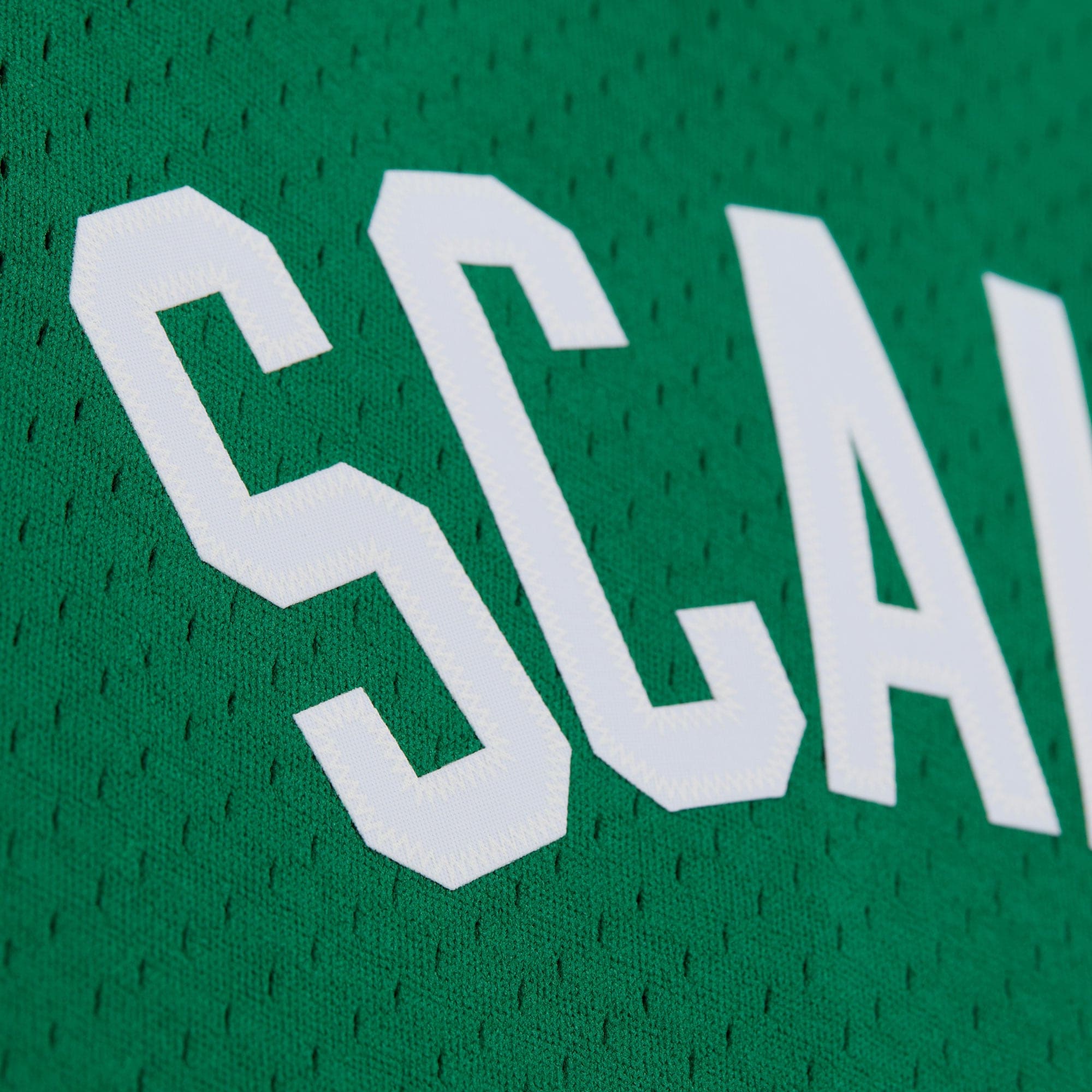 Brian Scalabrine Boston Celtics Swingman Jersey - Mens