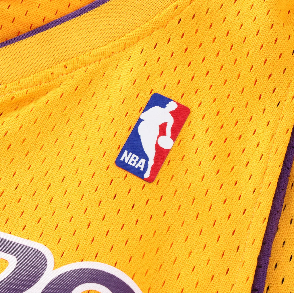 Lamar Odom Los Angeles Lakers Swingman Jersey