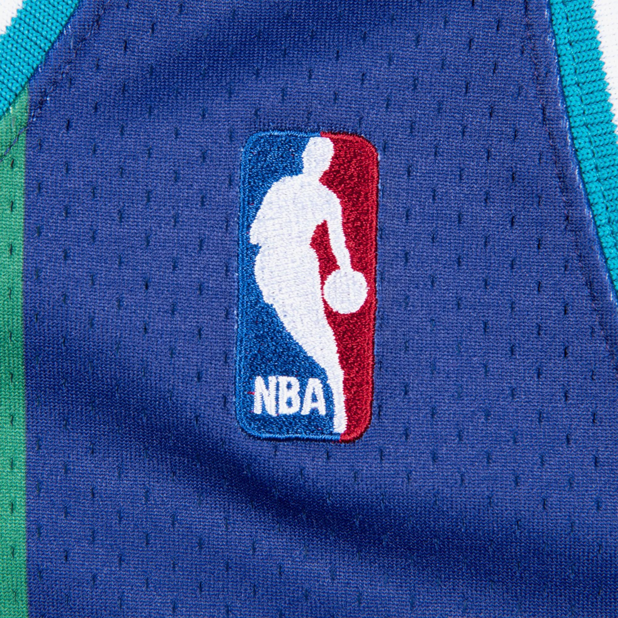Alonzo Mourning Charlotte Hornets 1994-95 Authentic Alternate Jersey